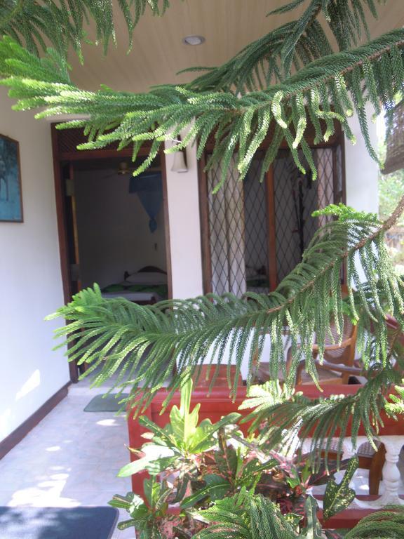Devi Tourist Home Polonnaruwa Εξωτερικό φωτογραφία
